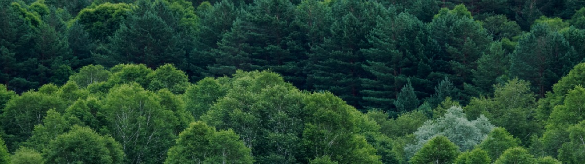 Propriétaires forestiers