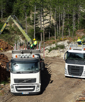 La récolte des bois