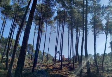 Nos valeurs d'engagement durable et responsable